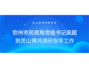 钦州市民政局党组书记吴超到灵山博鸿调研指导工作