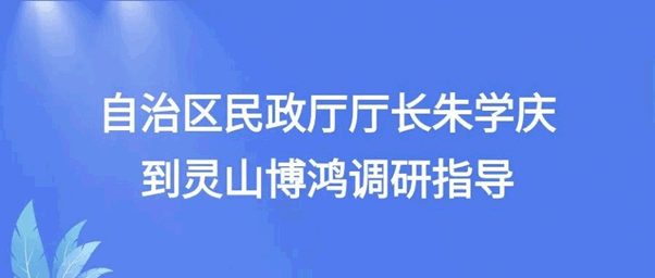 自治区民政厅厅长朱学庆到灵山博鸿调研指导