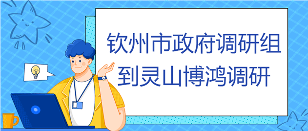 钦州市政府调研组到灵山博鸿调研