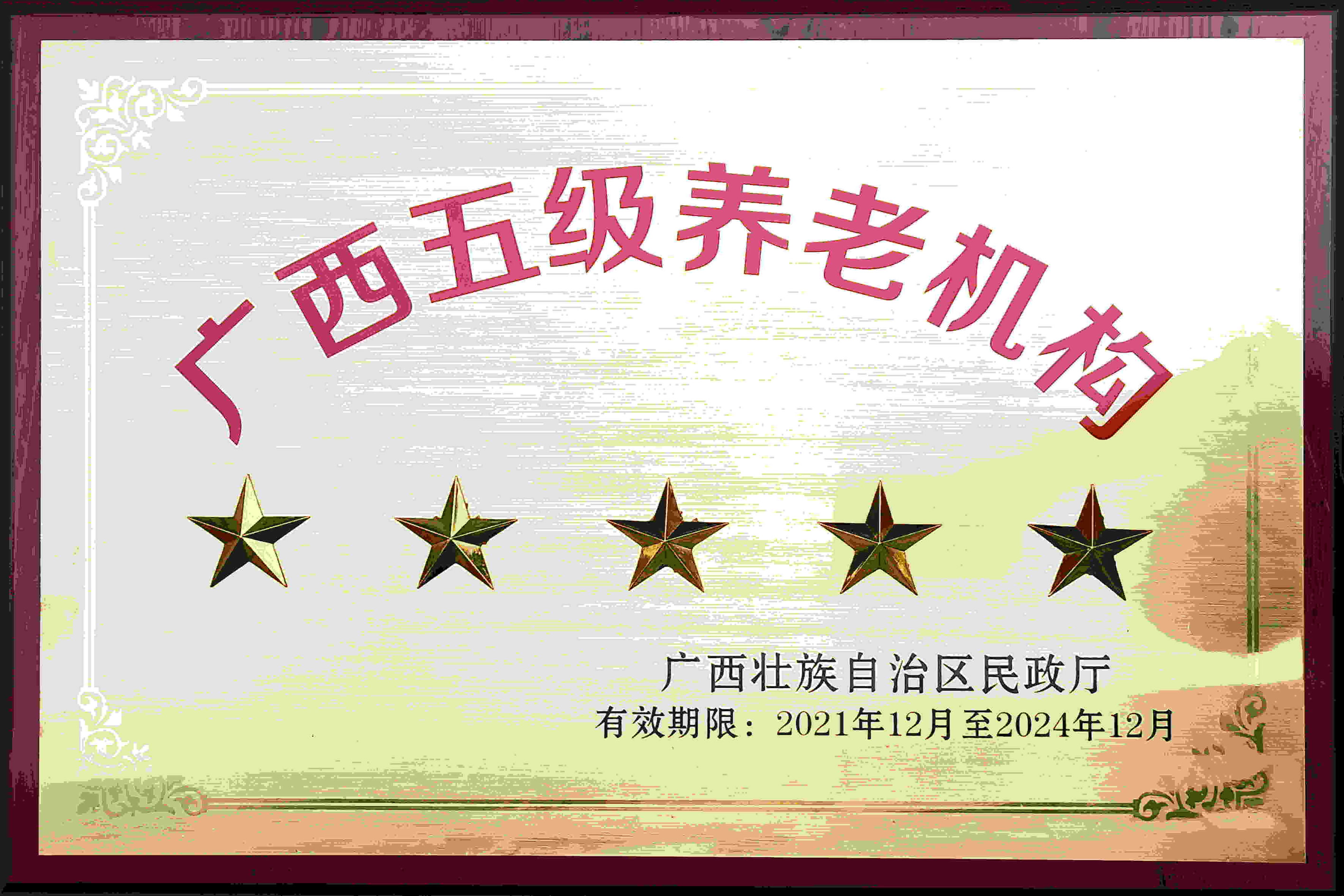 广西五级养老机构