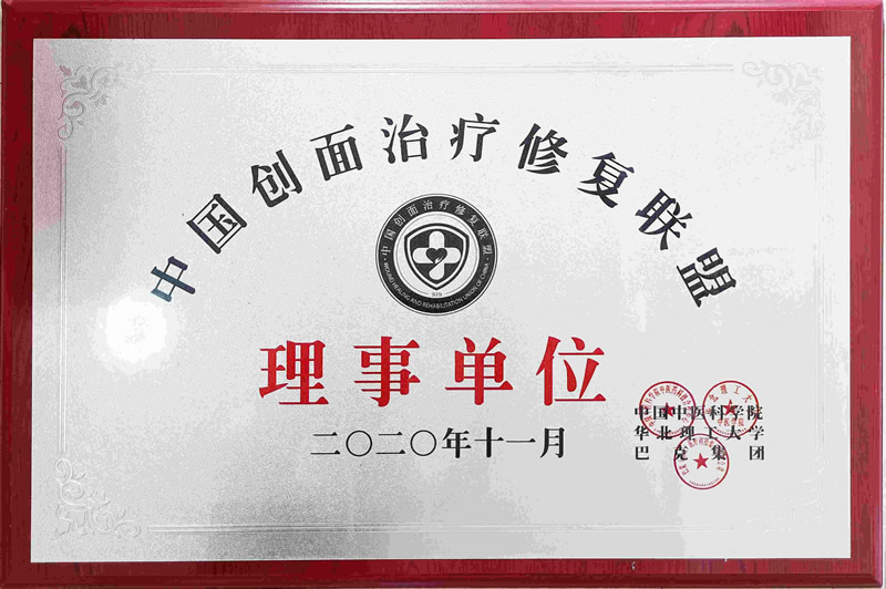 中国创面治疗修复联盟理事单位