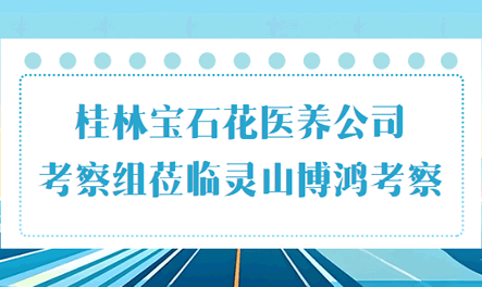 桂林宝石花医养公司考察组莅临灵山博鸿考察