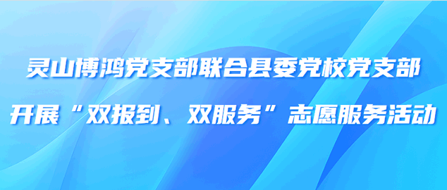 灵山博鸿党支部联合县委党校党支部开展“双报到、双服务”志愿服务活动