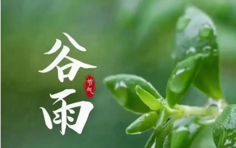 灵山县博鸿颐养院谷雨节气炖汤--木瓜薏米排骨汤
